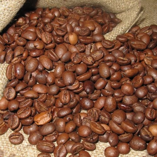 Arabica Coffee: Everything You Need to Know