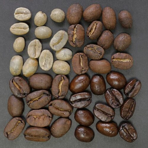 The Differences Between Arabica, Robusta, Excelsa, and Liberica Coffee Beans